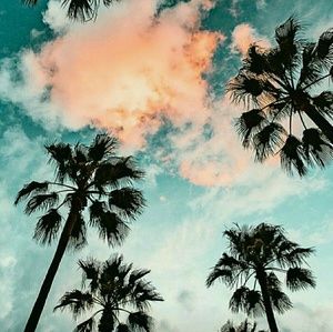 Meet your Posher, Madelyn